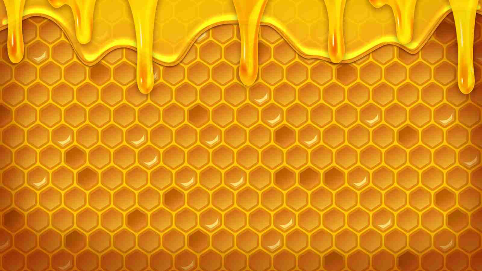 Game Page Background